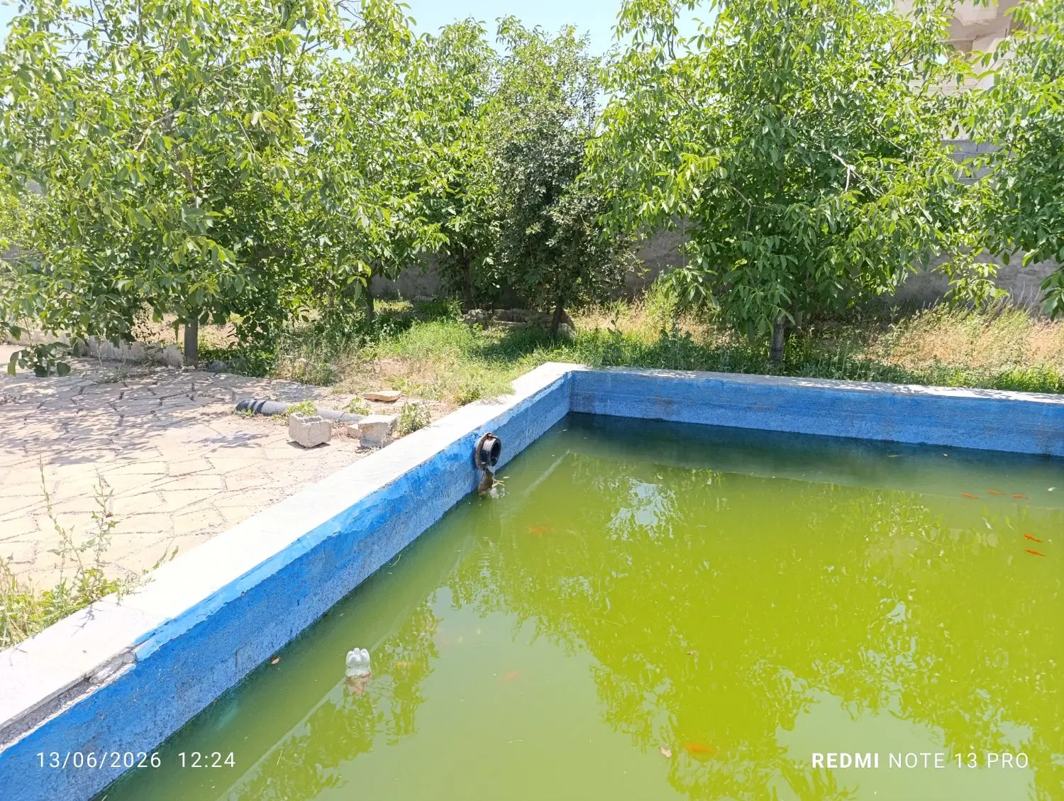 باغ ویلا روستای عسکریه جاده سنتو_ فروش فوری فوری