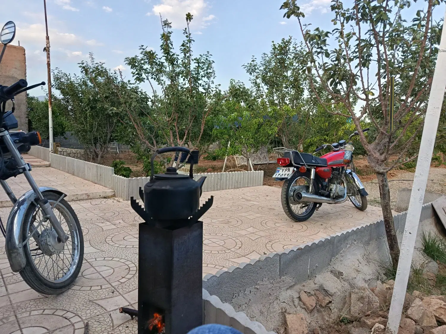 باغ میوه ۳ هزار متر