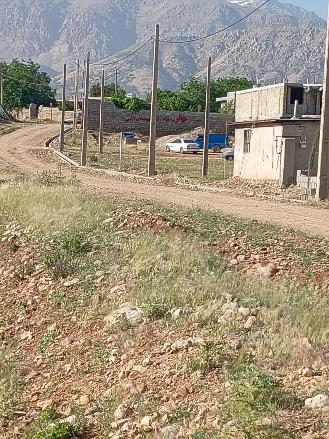 زمین جدول غوره