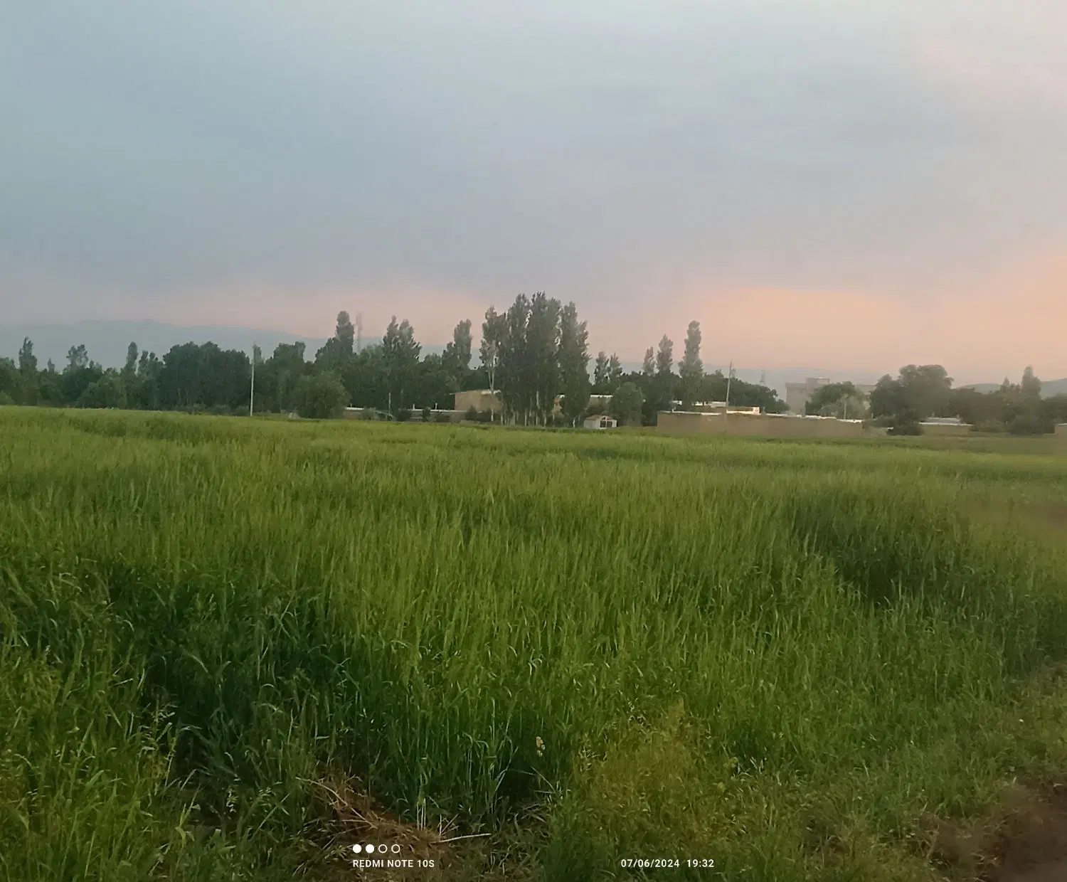 زمین باغی با چشمه شهر ارمغانخانه
