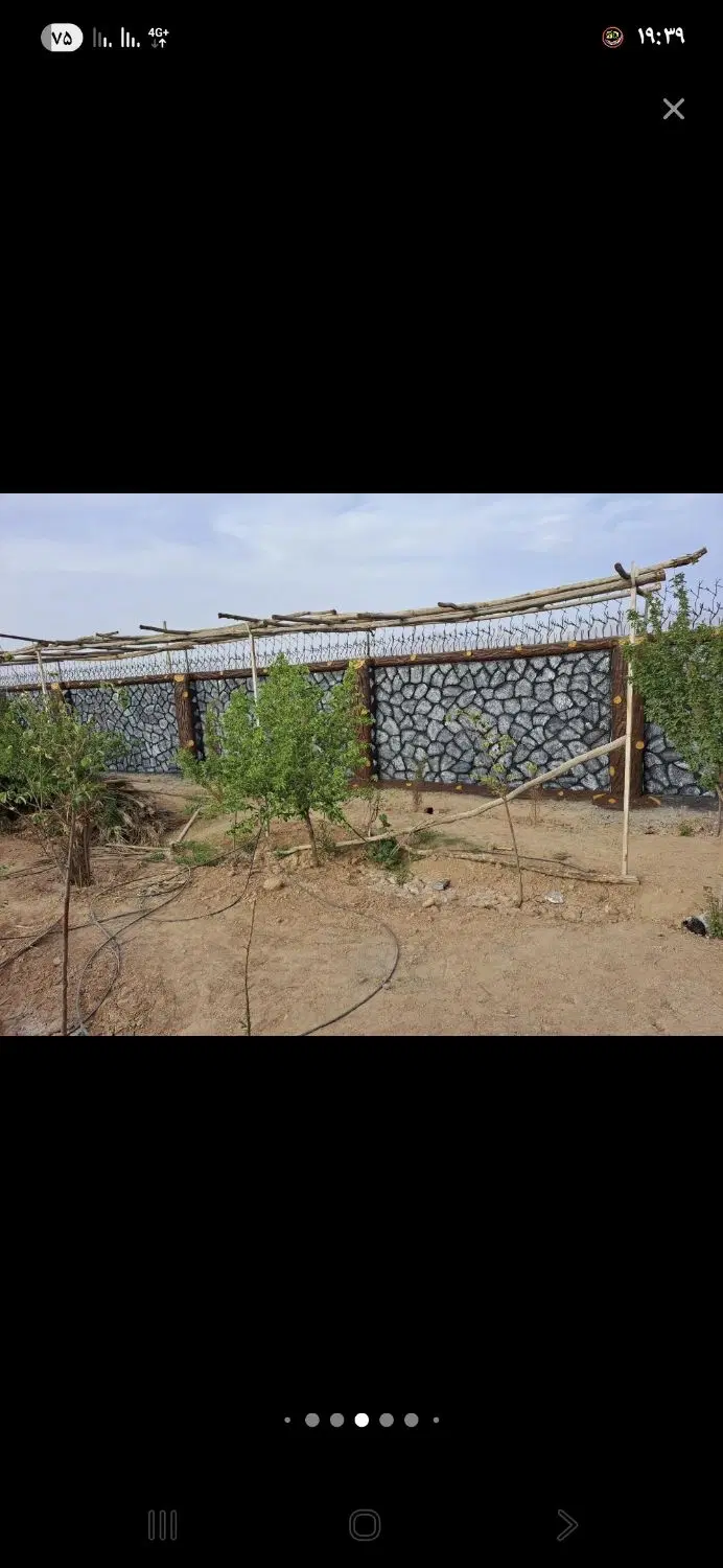زمین کشاوزی قولنامه عادی