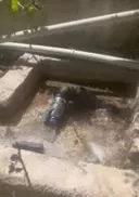 باغ ۴دیواری شده باغات ورده