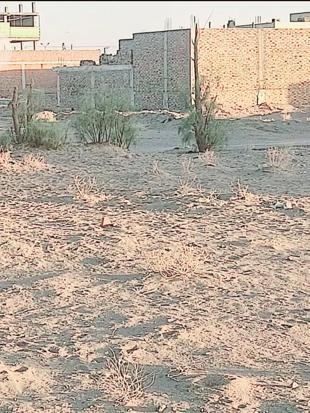 روستا ناصری
