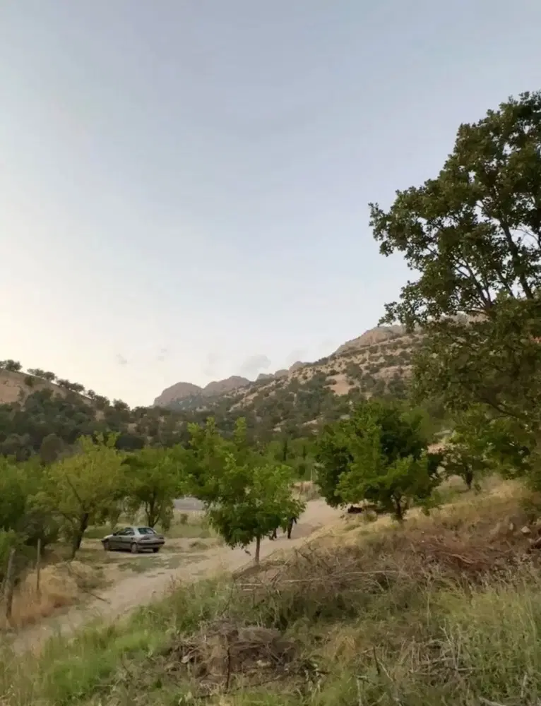 زمین باغی
