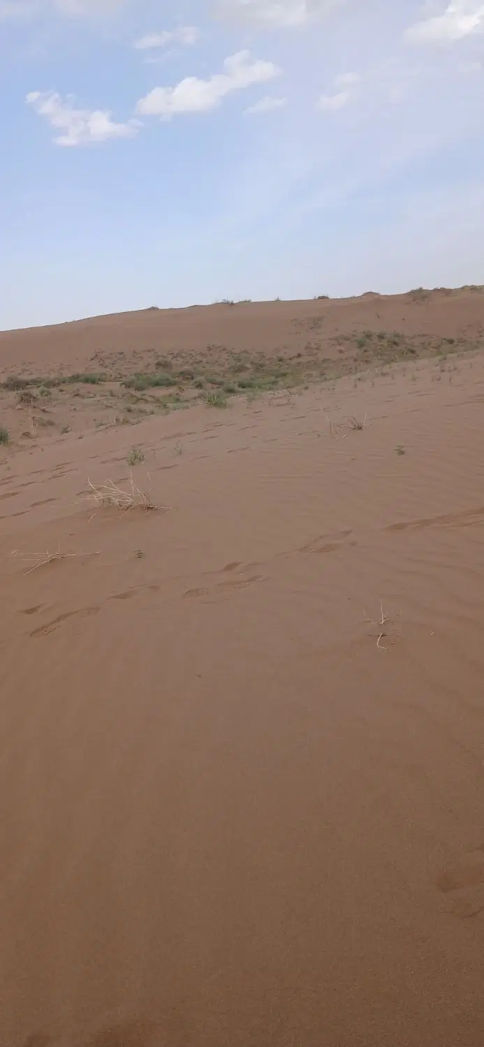 زمینه فروشی در قنبر آباد