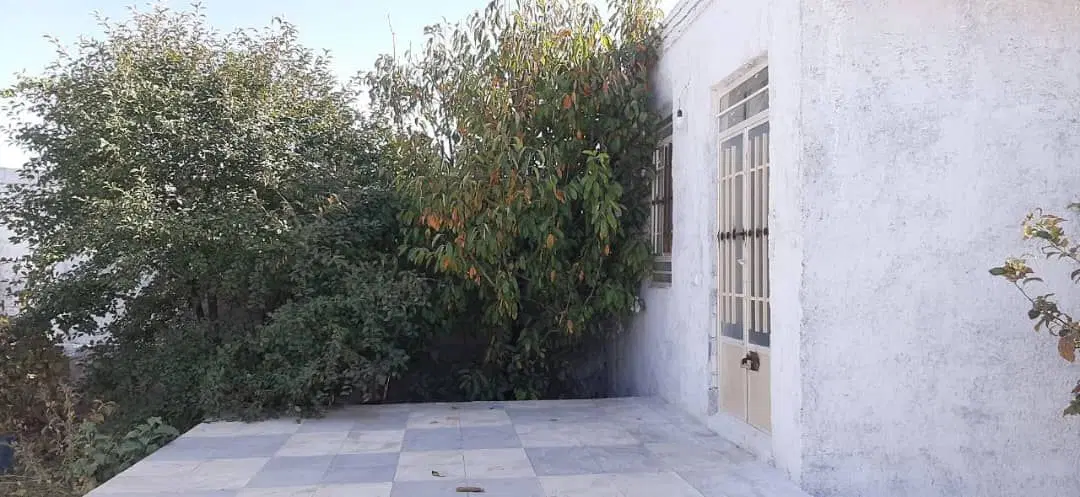 باغ میوه و ویلایی مرتب