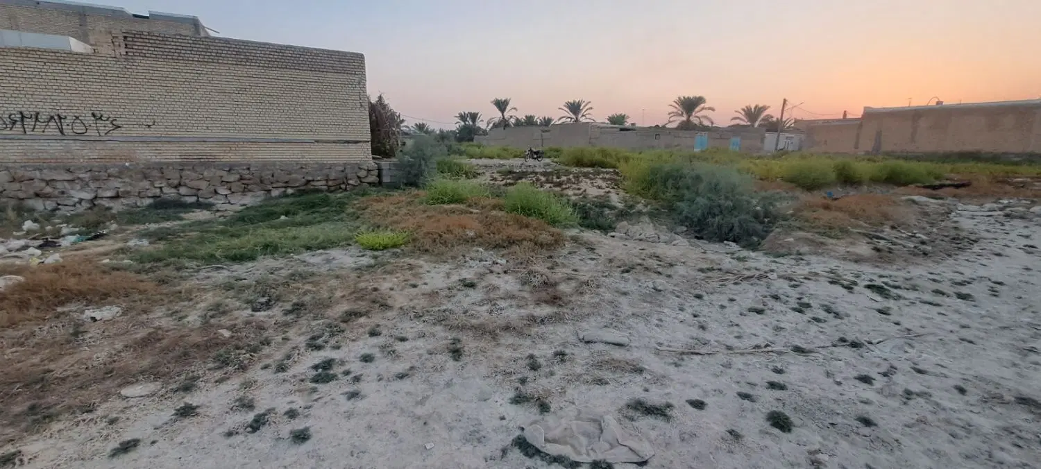 زمین