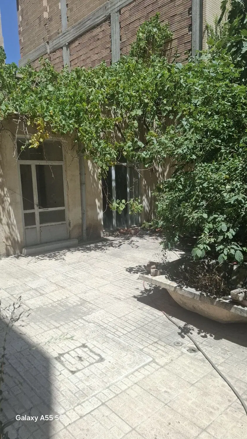 حیاط شمالی کلنگی 130 متری سالاری ابوریحان