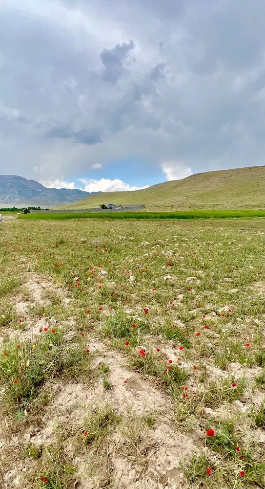 فروش زمین در روستای سرکندیزج