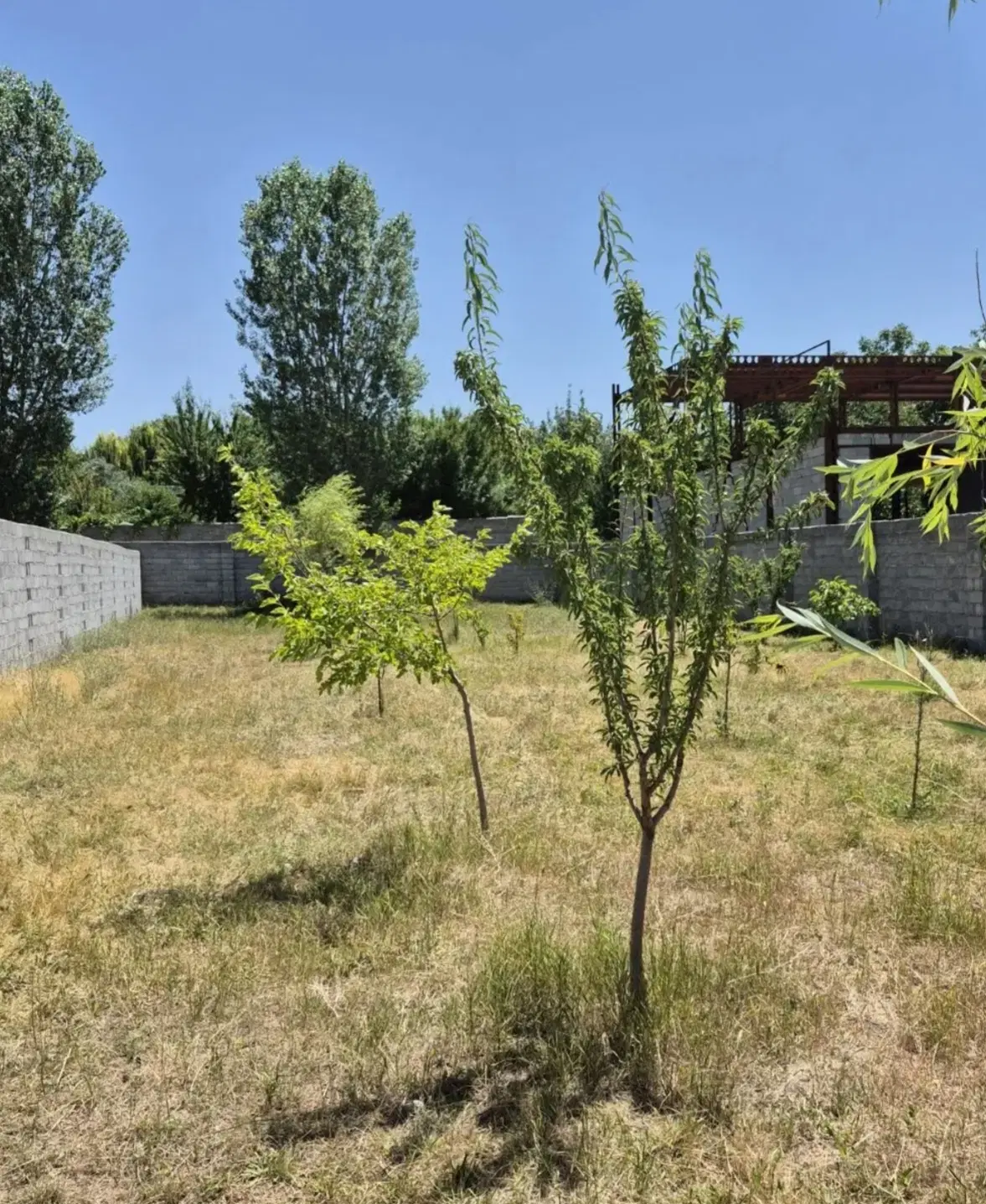 زمین شهر بندرگز