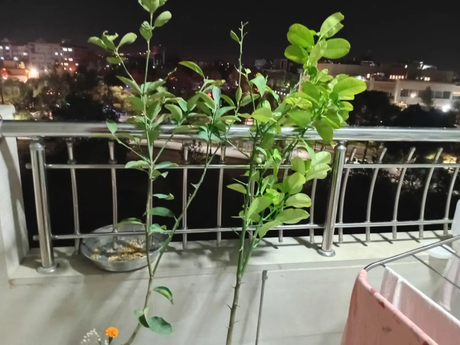 رهن کامل ۱۷ شهریور ملک شهر