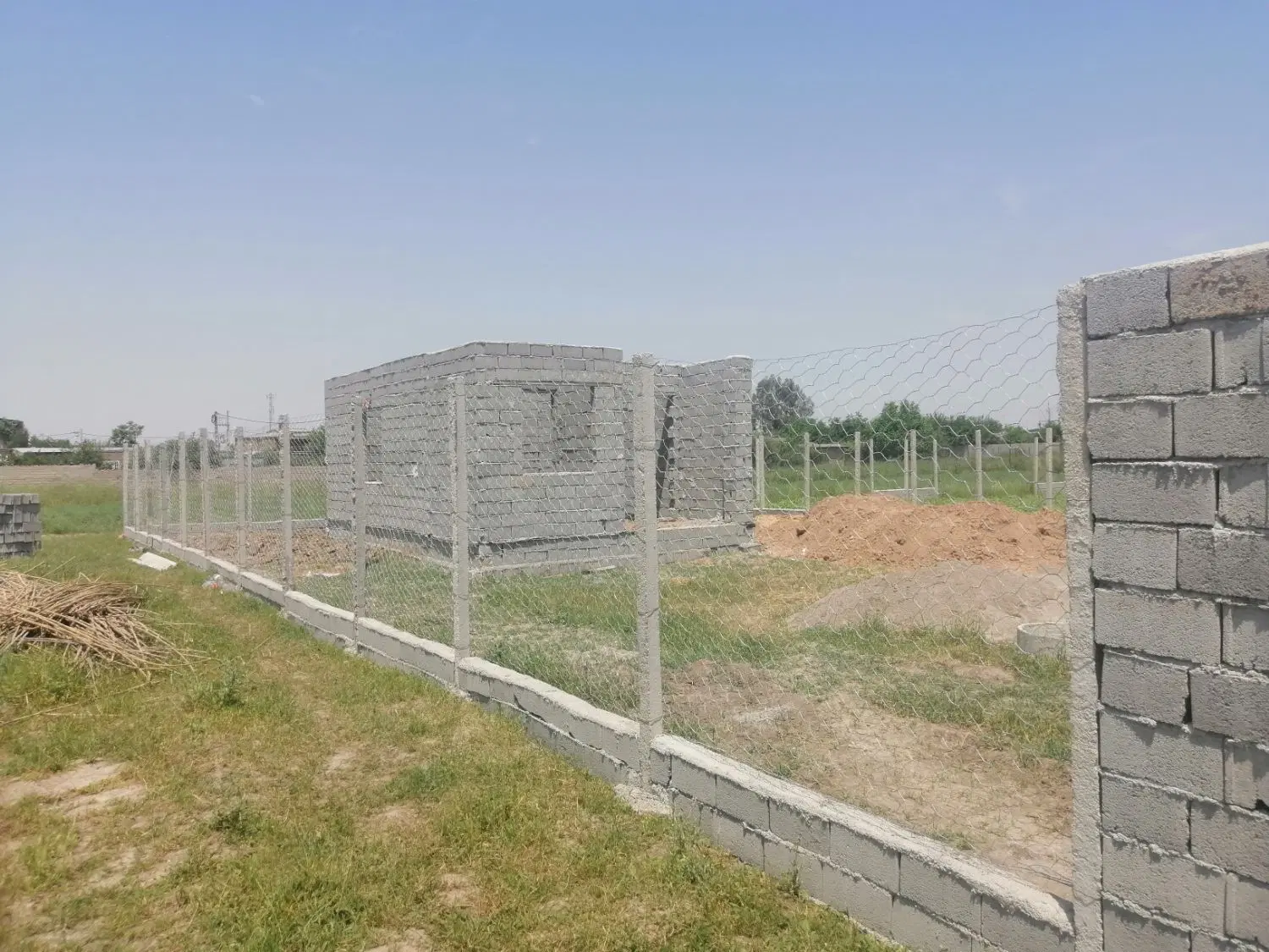 زمین باغی