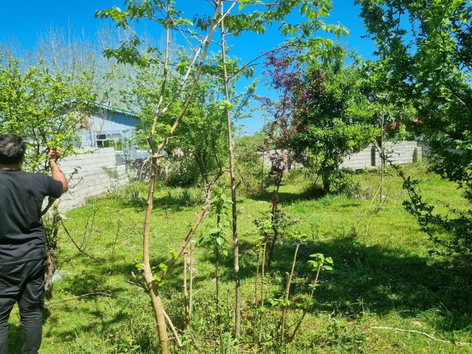 کاربری مسکونی 385 متر بابحر 15