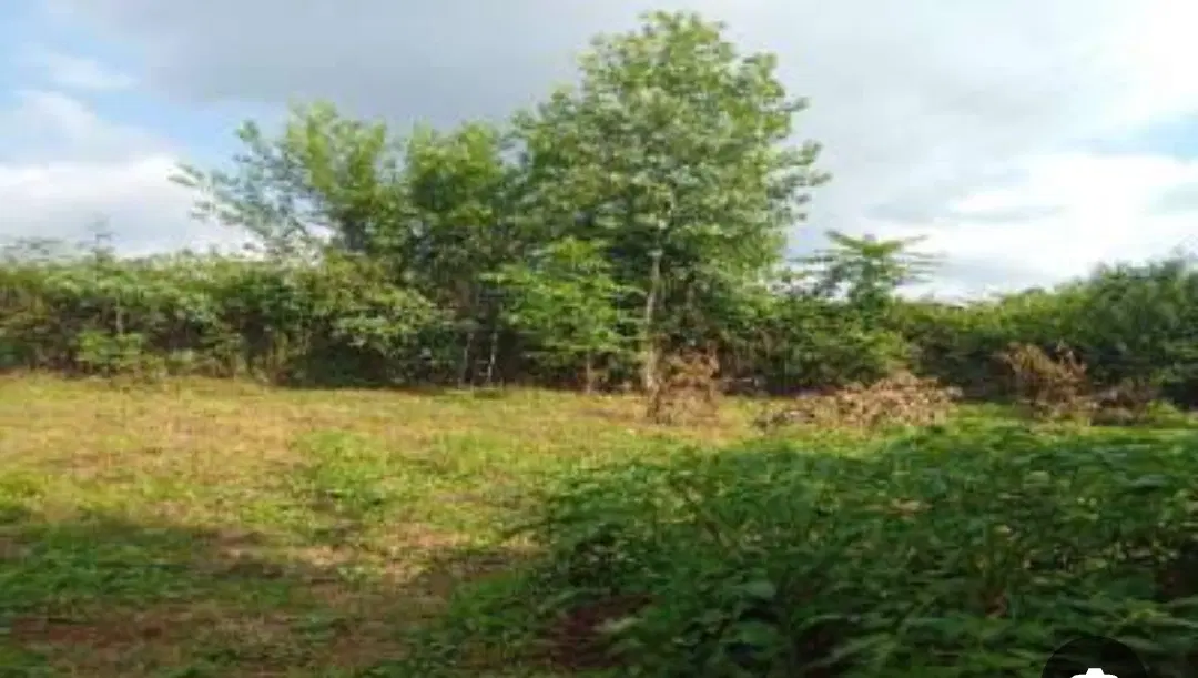 فروش زمین روستای سیاه درویشان