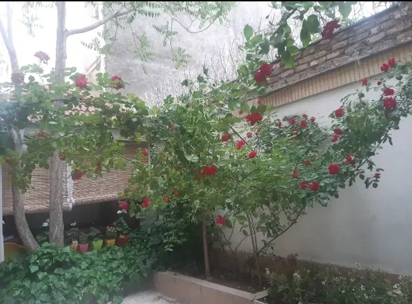 هاشمیه همکف حیاط دار