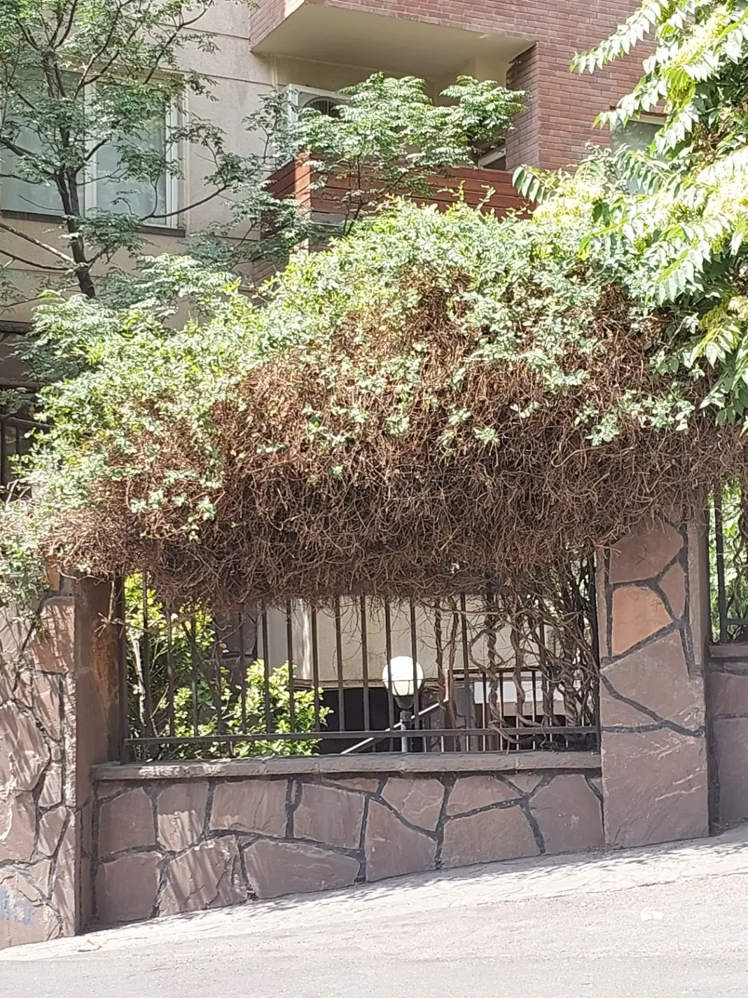 فروش  ویلایی ۶ دانگی حکیمیه