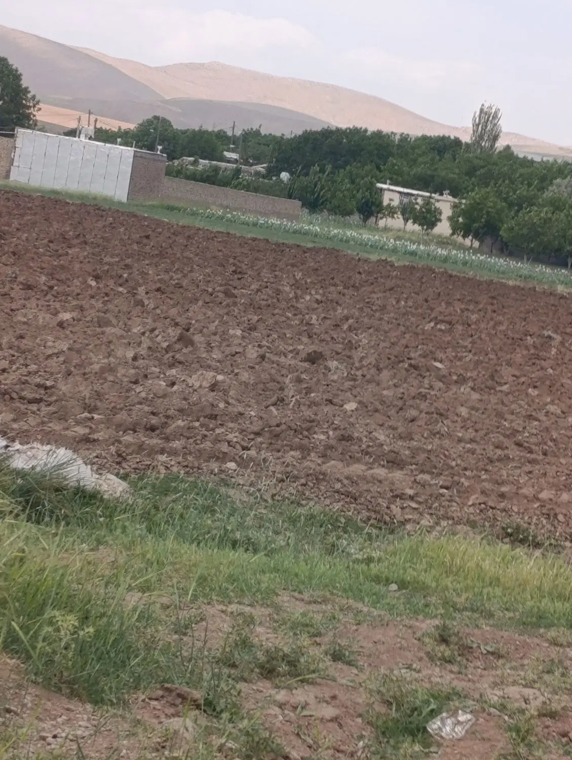 زمین تجاری مسکونی