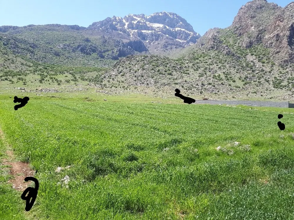 زمین نجوبران