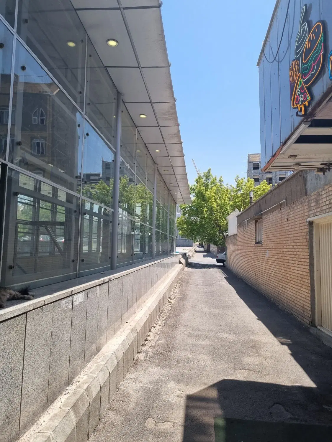 اجازه حیاط دربستی ائل گلی