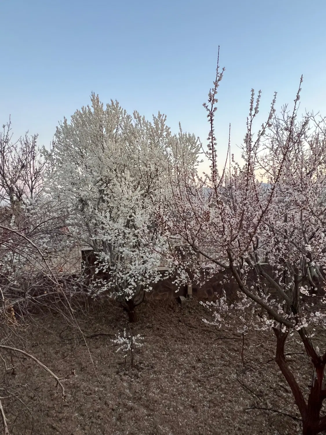 ۱۰۰۰ متر زمین ویلایی وادان