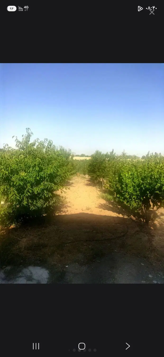 باغ در ۵ کیلومتری زنجان