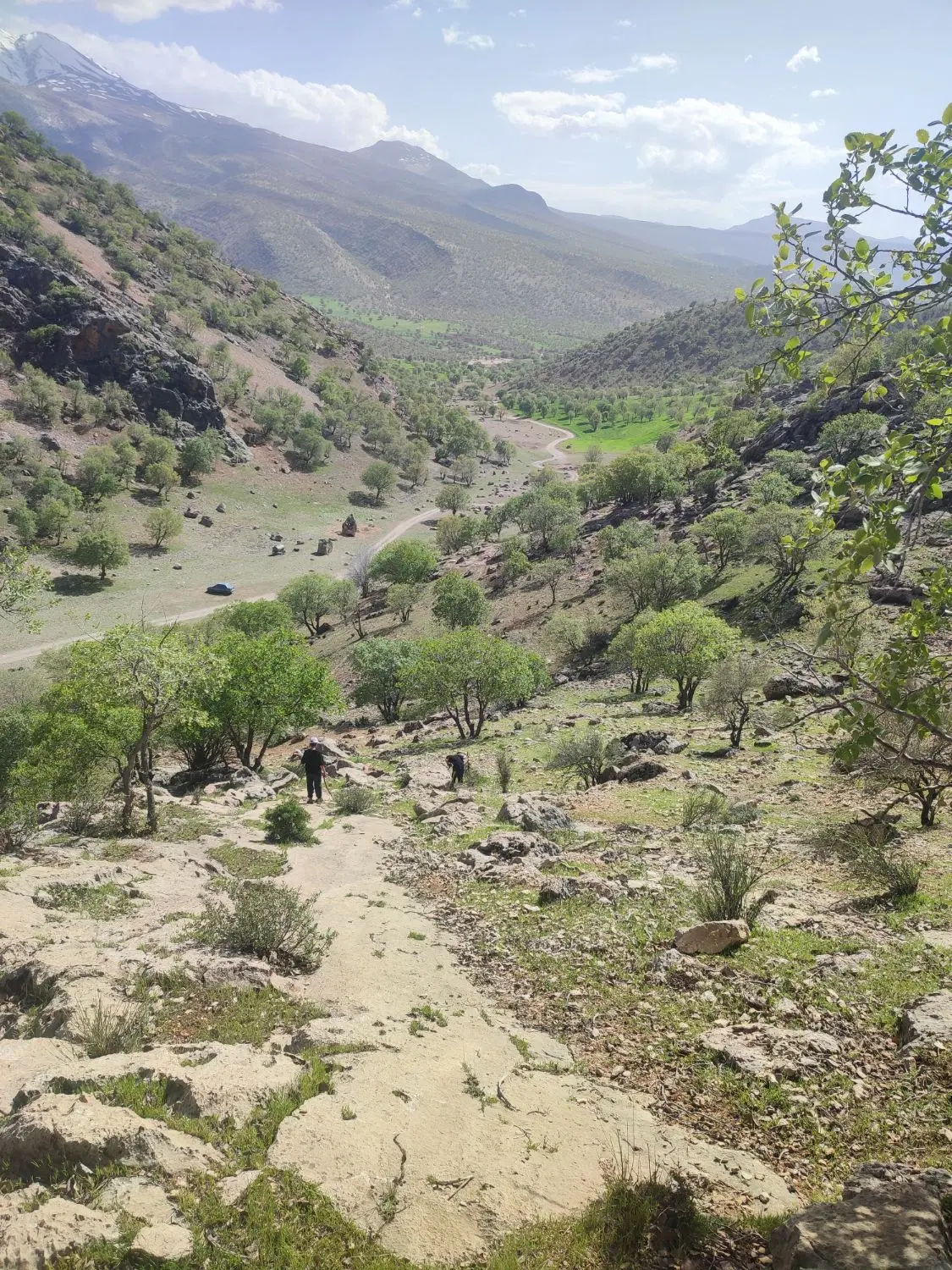 ملک فروشی