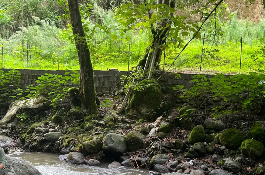 خریدار ملک