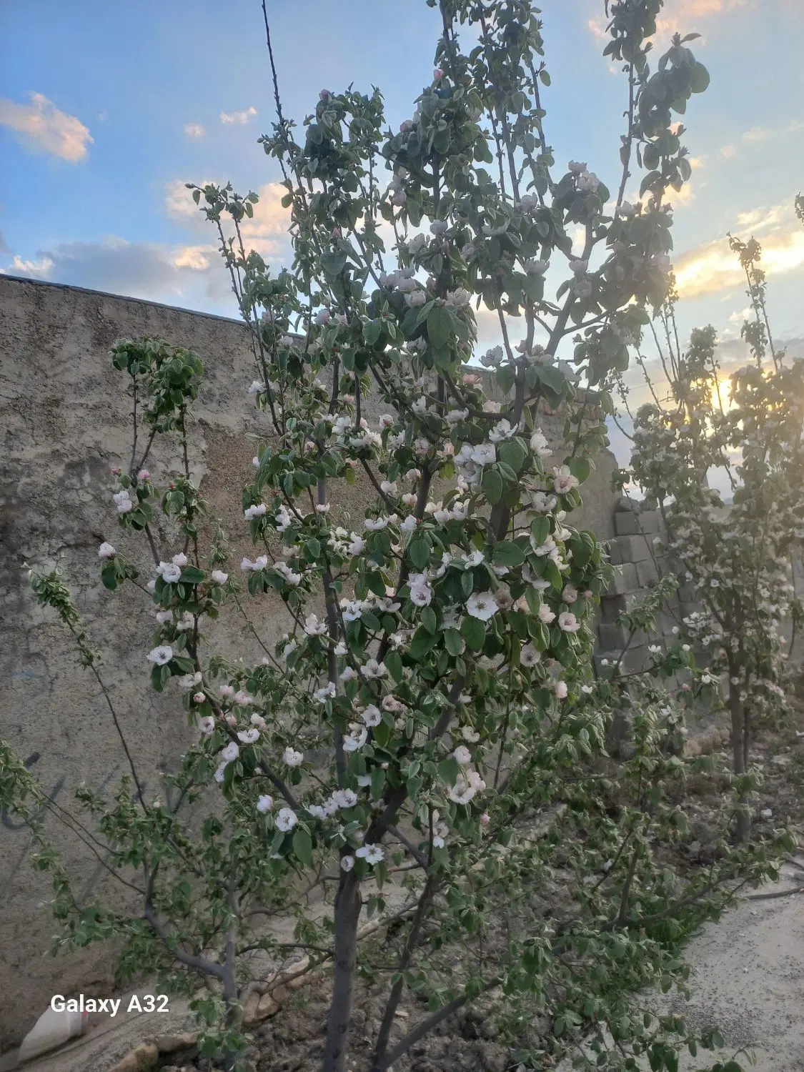 زمین دونبش درگراب