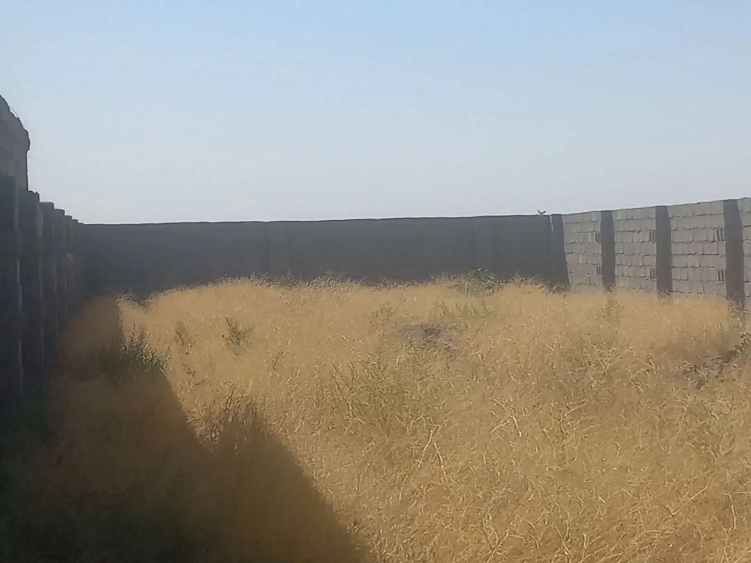 زمین