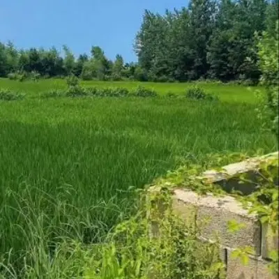 ۱۲۰متر زمین ، کاربرد مسکونی