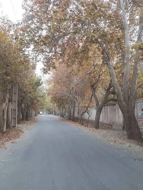 باغچه فروشی
