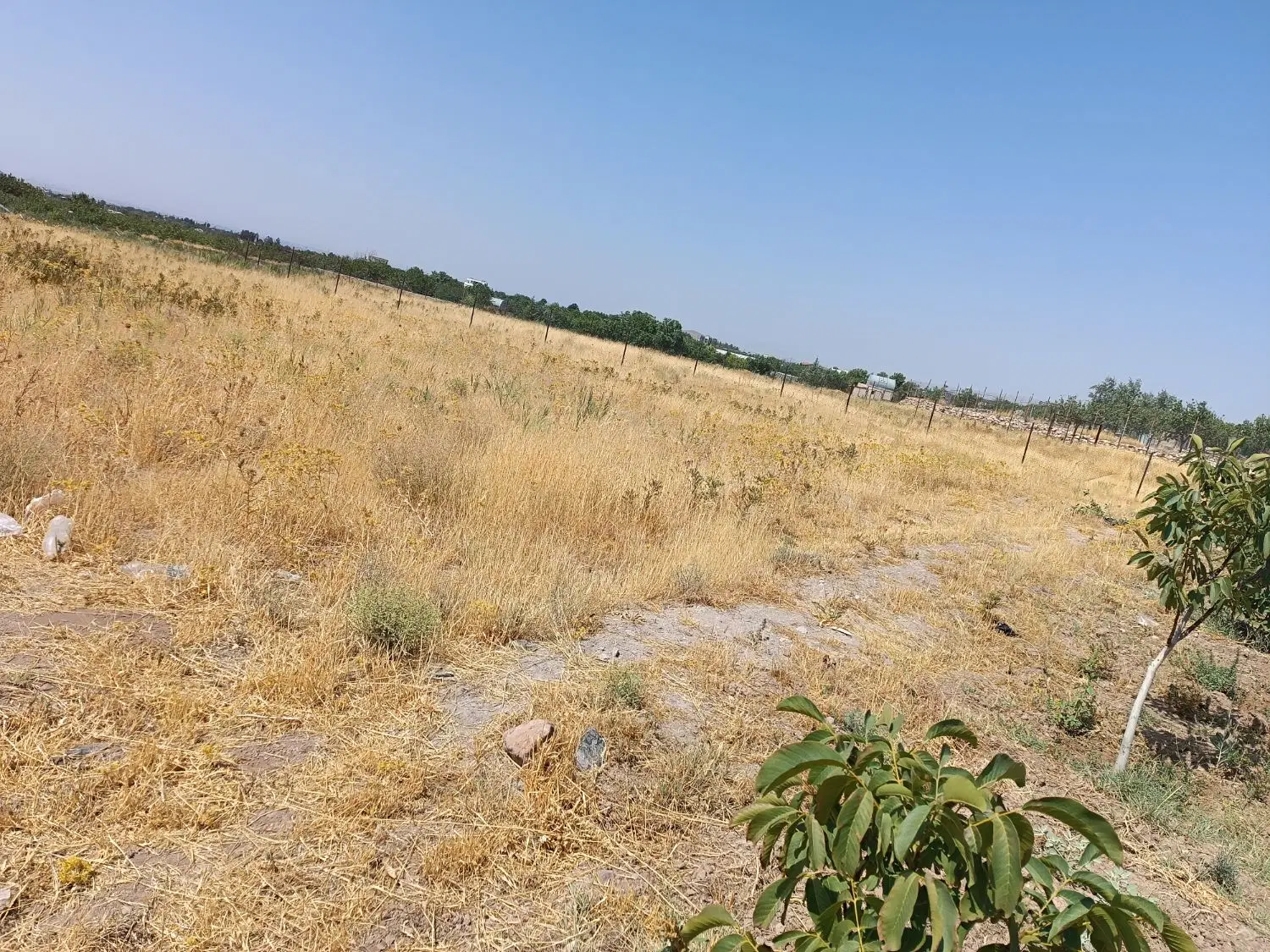 زمین ویلایی کشاورزی