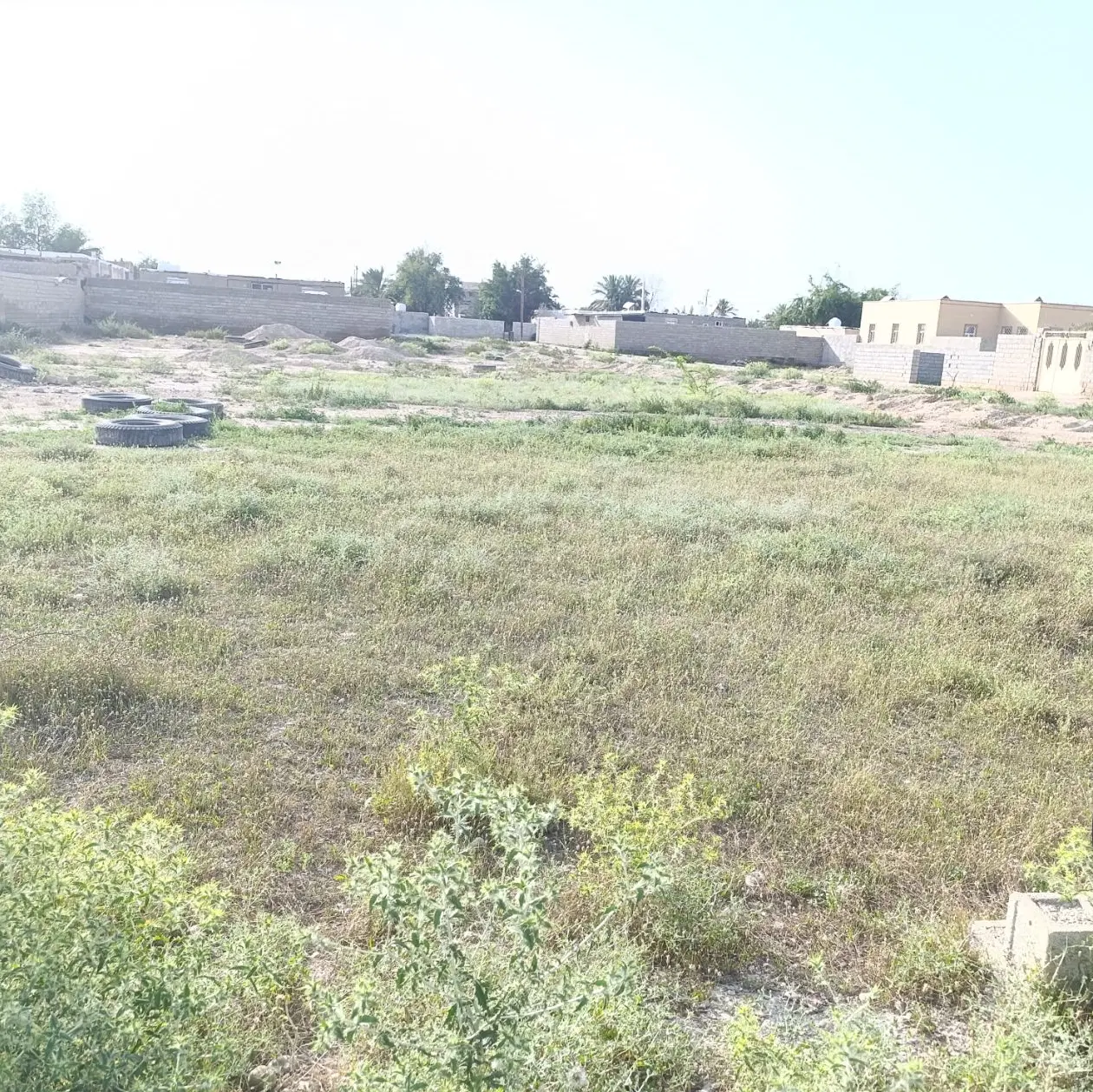 زمین رامشیر روستای رمیله علیا