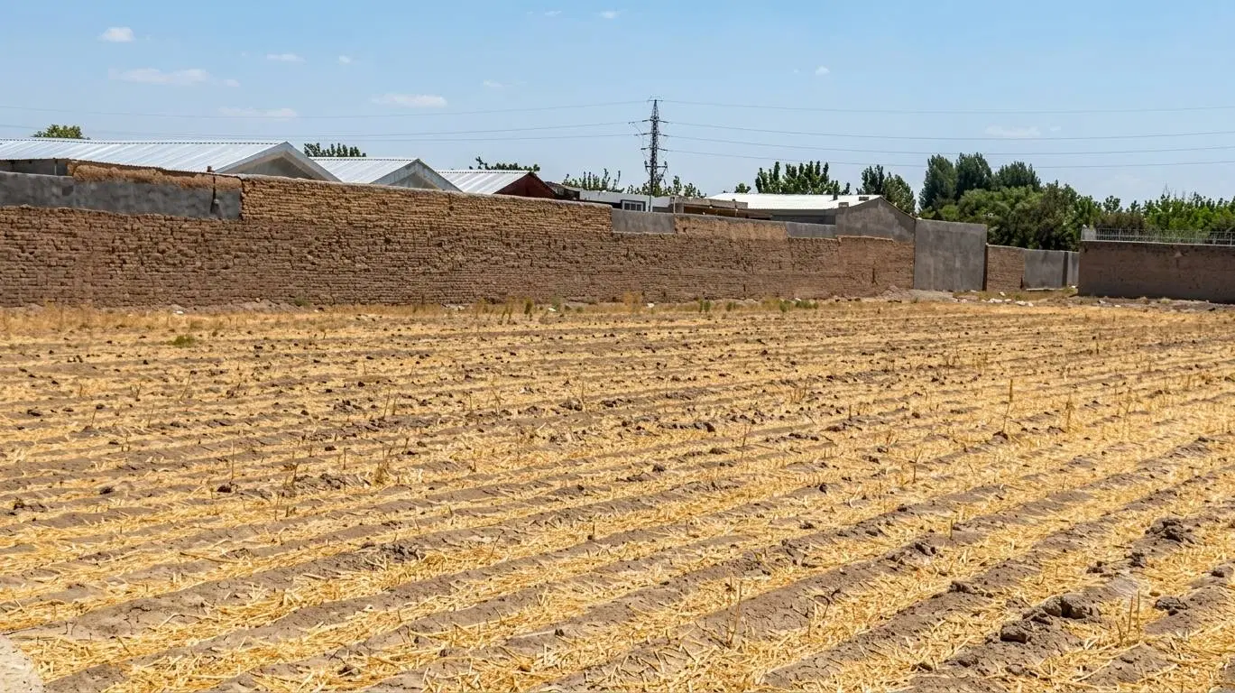 فروش زمین در روستای سعید آباد (سعد آباد) ورامین