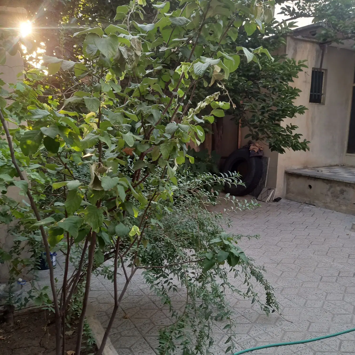 خانه ویلایی بهر خیابان طالقانی ودو بهر