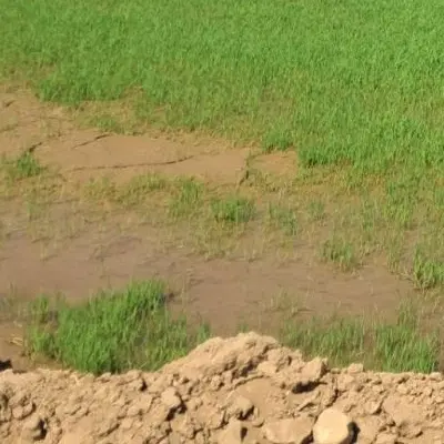 زمین شهرک صنعتی داریاب و بر اتوبان هر متراژ موجود