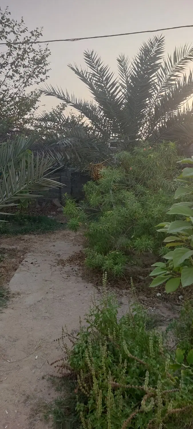 زمین در روستای تورگان 5 کیلومتری  قشم