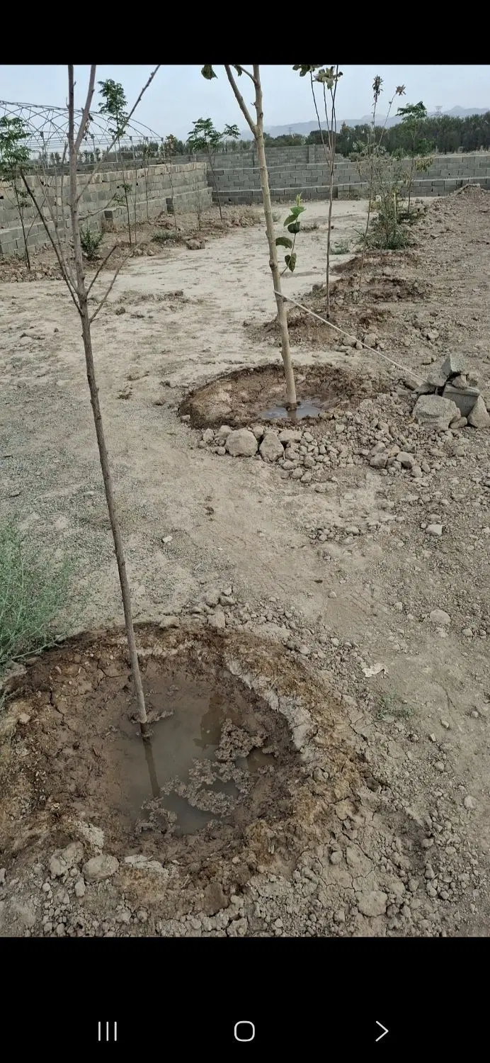 زمین  چهار دیواری