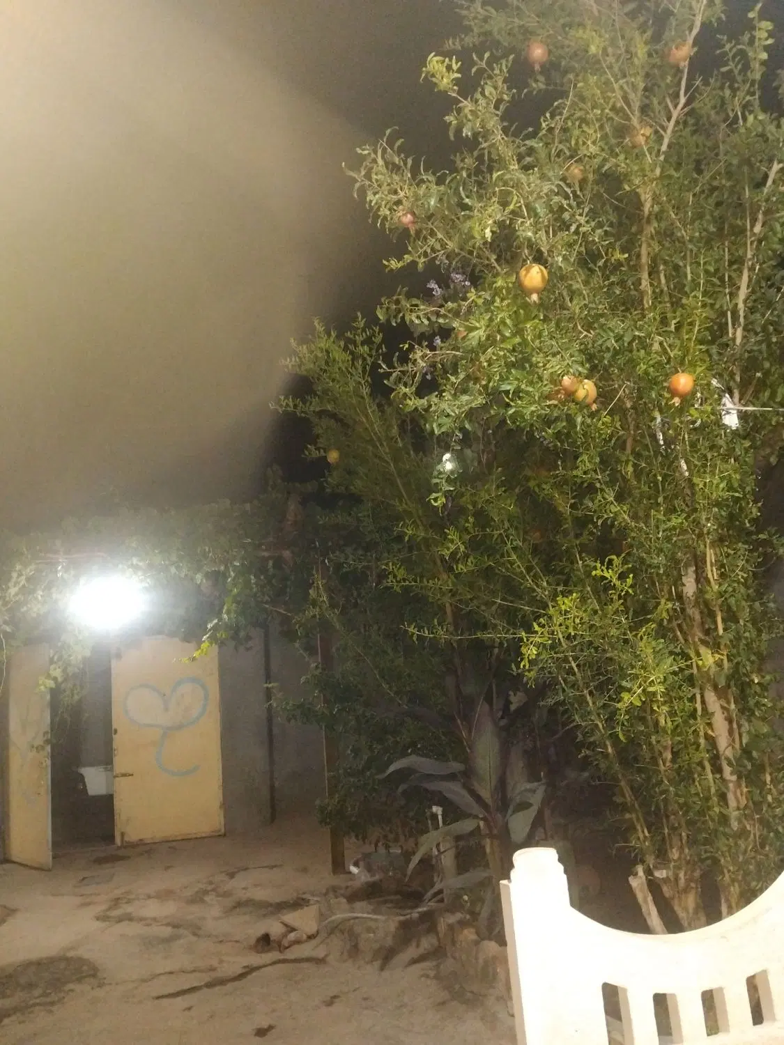 خانه ویلایی