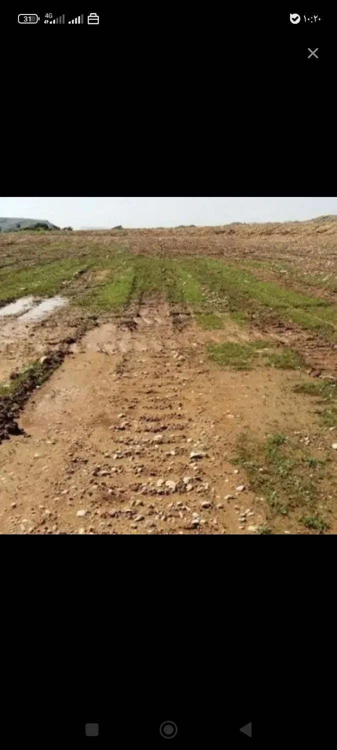 زمین کشاورزی