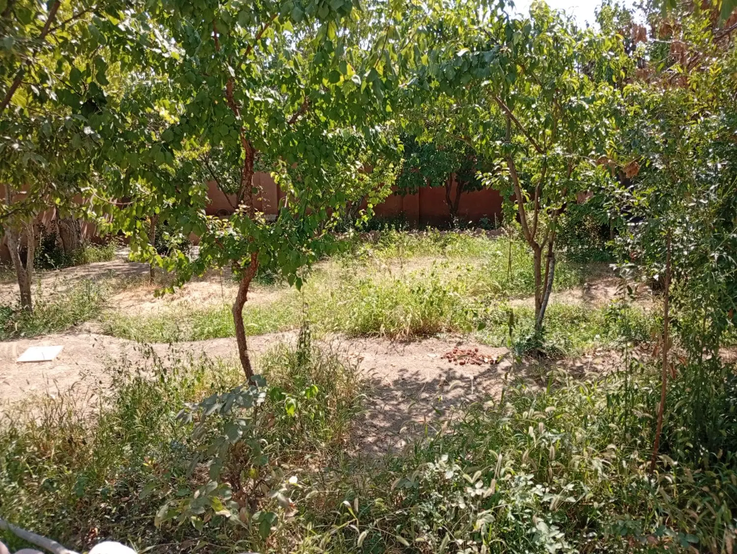 باغ سندتک برگ