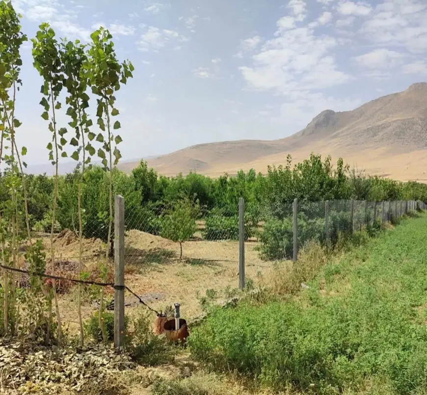 فروش باغ پر ثمر در سرابکام