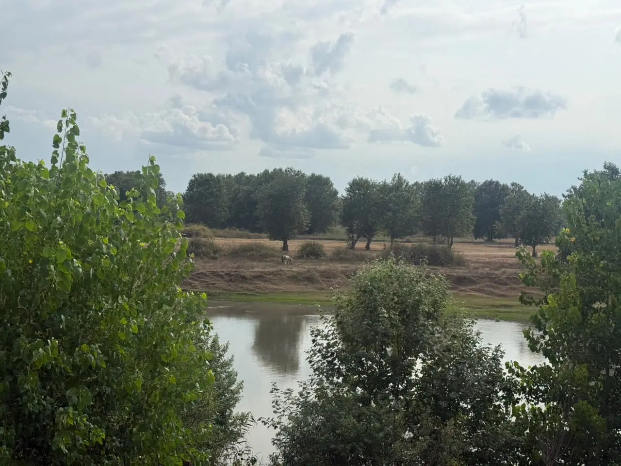 ۷۰۰متر ویلای لاکچری خاص معاوضه تهاتر شمال
