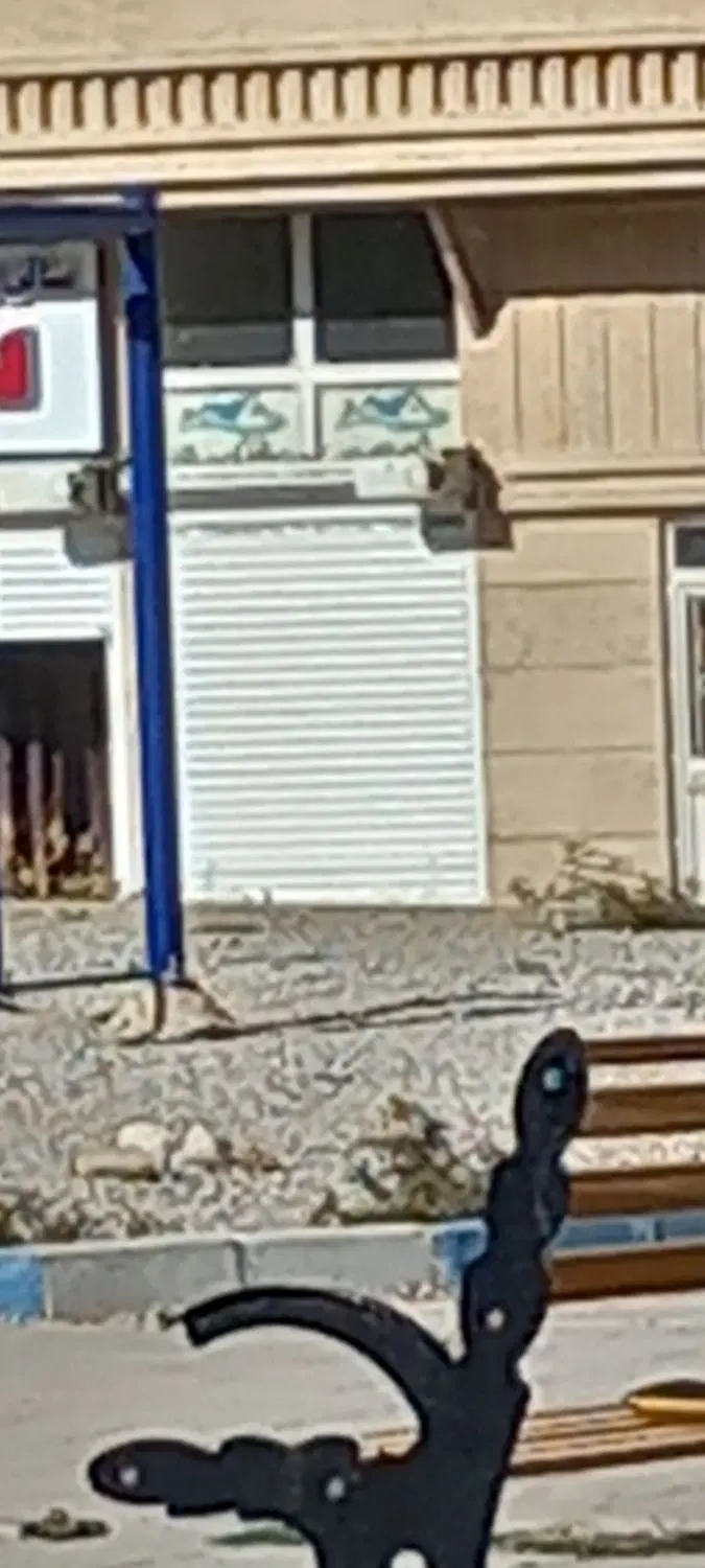 مغازه پردیس