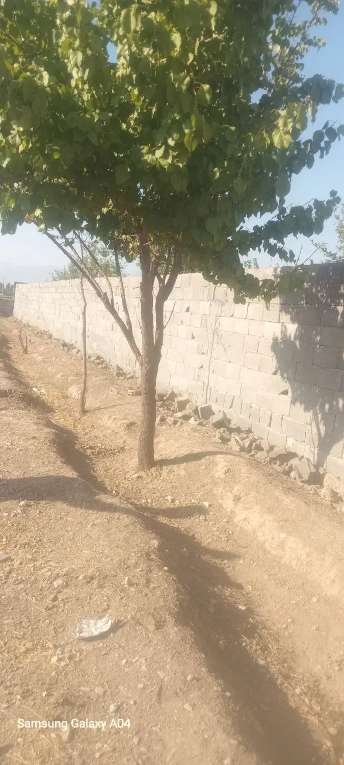 فروشی