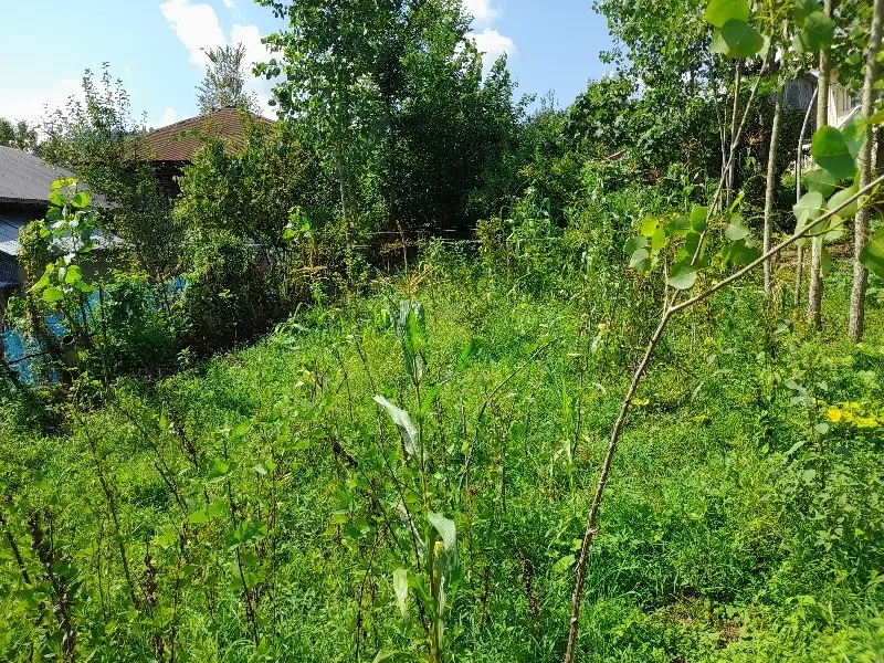 250 متر زمین مسکونی در روستای چالشم