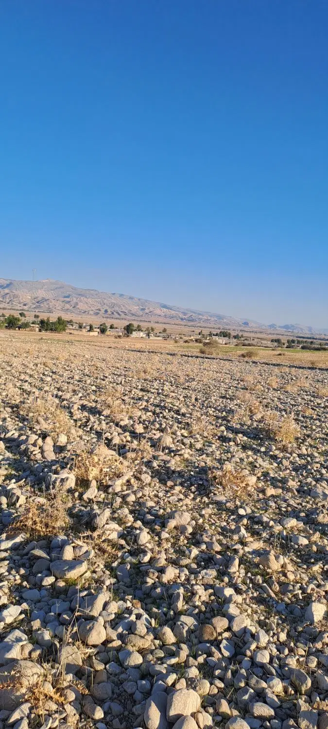 زمین کشاورزی درصالح اباد