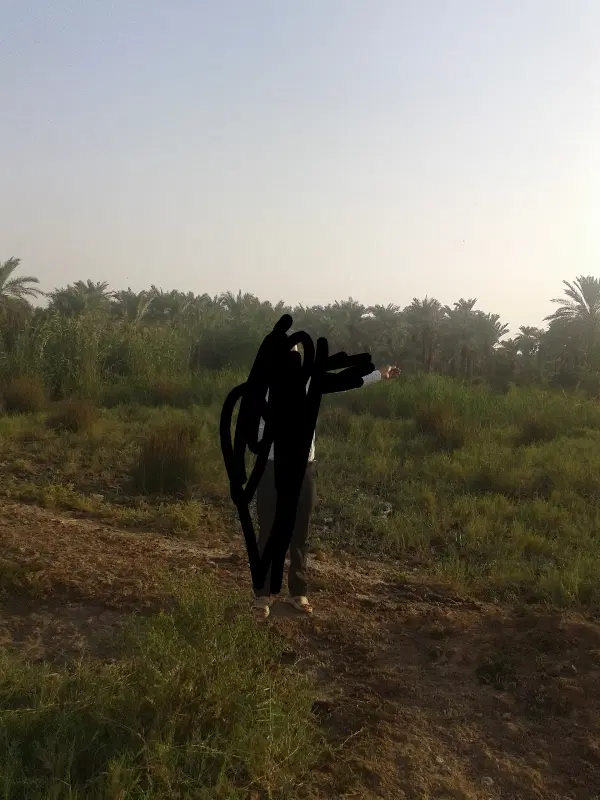 فروش زمین