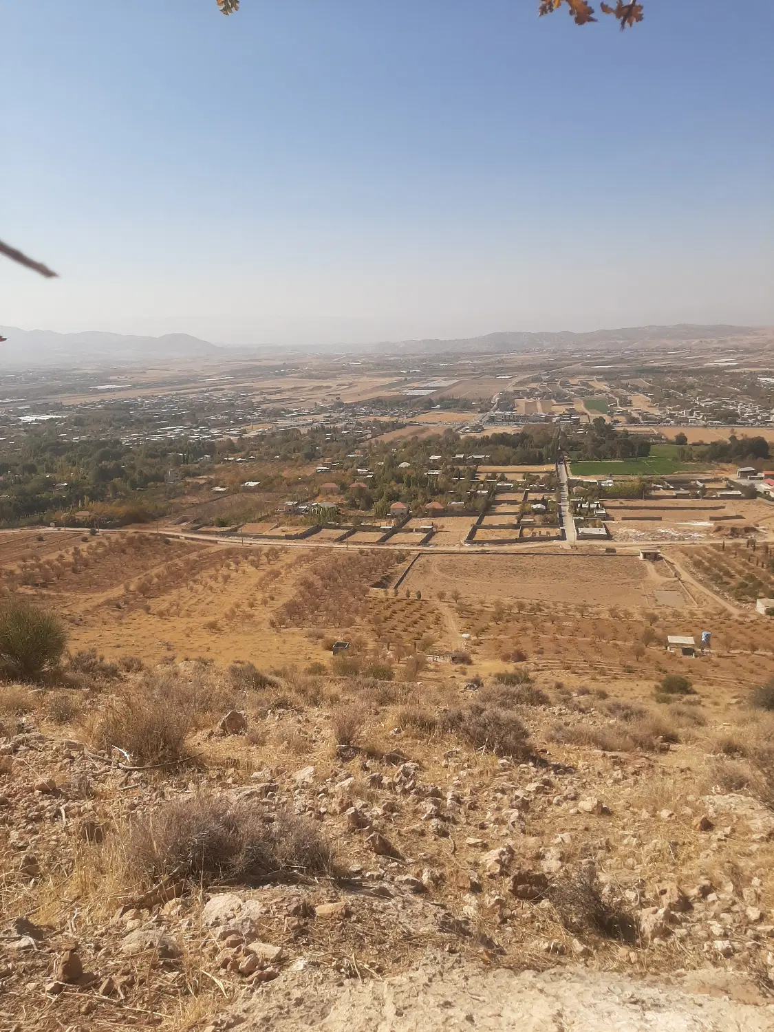 فروش زمین