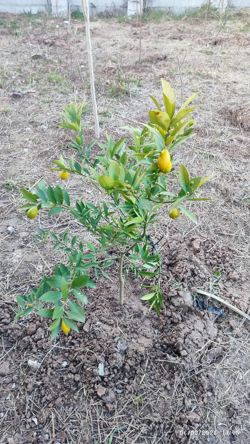 زمین مناسب سرمایه گذاری